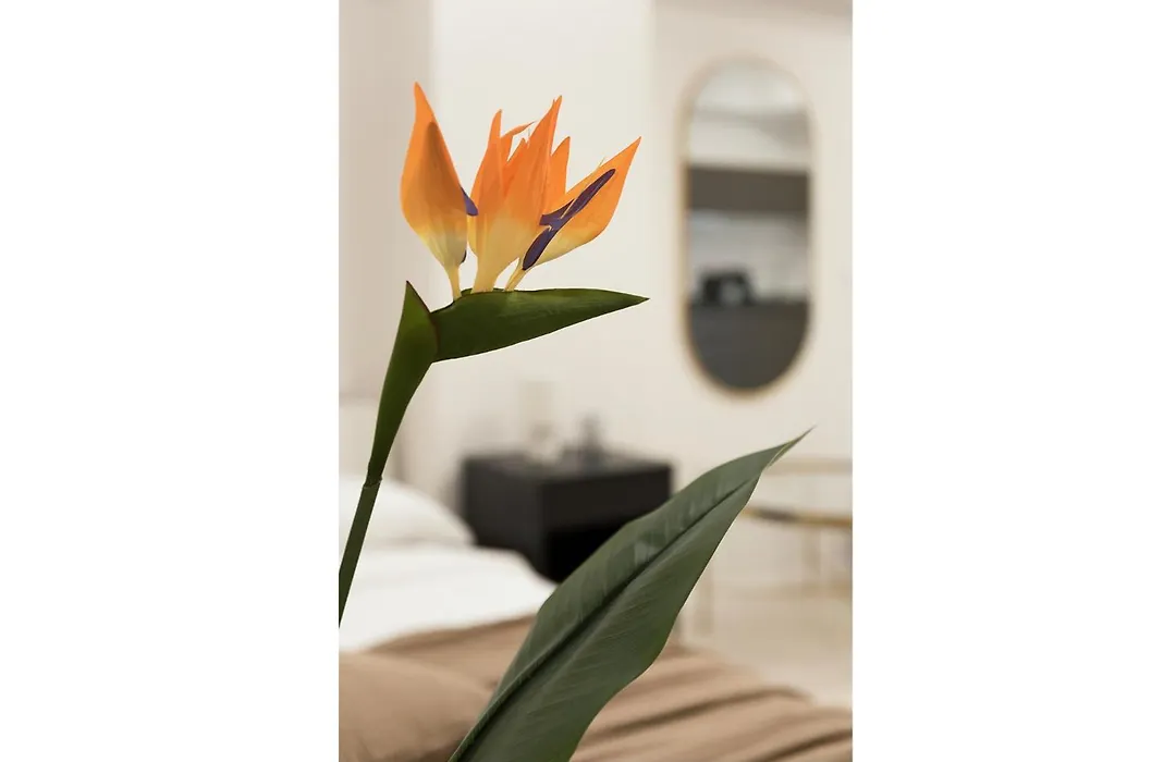 Sweet Dreams Apartments - Near Center - M4-1